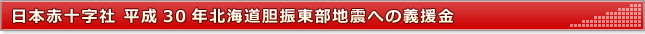 日本赤十字社 平成30年北海道胆振東部地震への義援金